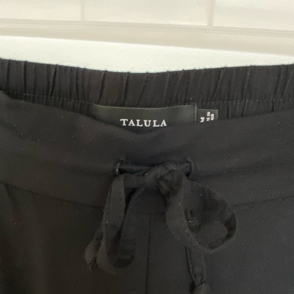 Aritzia Talula Los Feliz Pants - Picture 4 of 4
